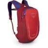 Daylite Kids -Hiking Camping Store dayltkidss20 s20 side cosmicred