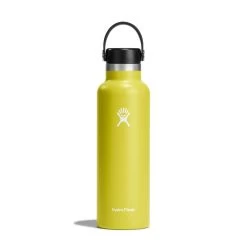 Hydro Flask 21 Oz Standard Mouth Water Bottle -Hiking Camping Store s21sx752 cactus straighton